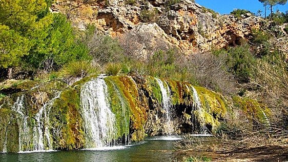 Siete kilómetros entre algarrobos centenarios y el cauce del río Sot