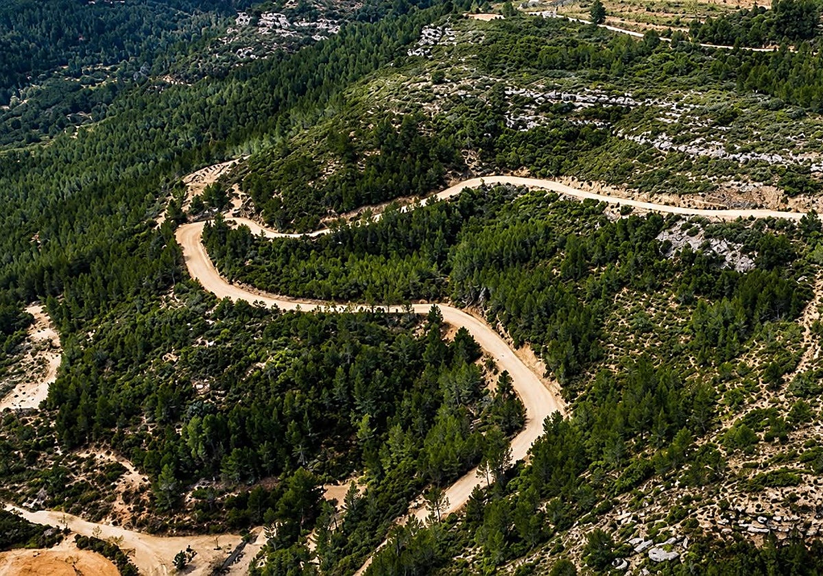 Pistas forestales, parques inundables y rescate del Turia encabezan las obras ambientales por la dana