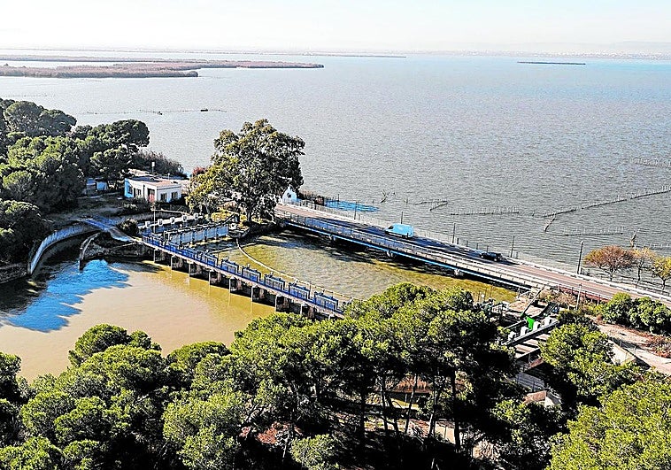 Más agua en la Albufera, un paso en el buen camino