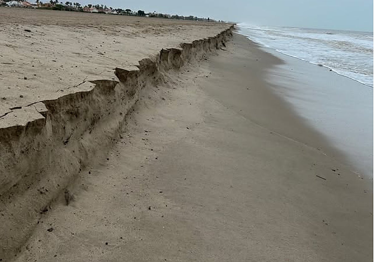 Las olas se comen gran parte de la arena recién aportada en 