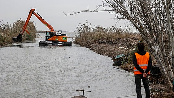La Albufera y la eterna espera de las obras del colector Oeste
