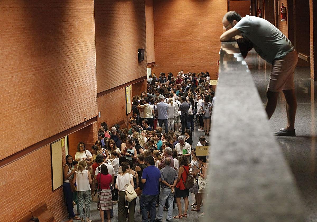 Todos los grados que se pueden estudiar en la Universitat de