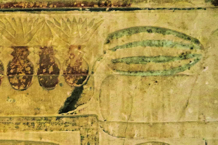 Un papiro egipcio de hace 4450 años que representa un objeto parecido a una sandía