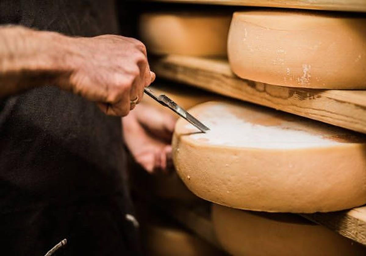 Piezas de queso en una imagen de archivo.