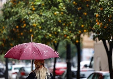 Aemet activa un aviso rojo este martes en la Comunitat por temperaturas extremas y prevé dos días seguidos de chubascos con tormentas
