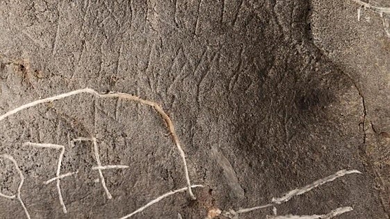 Hallazgo histórico: descubren en una cueva de Valencia unas 120 inscripciones latinas del Imperio romano