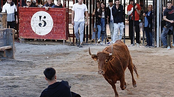 Muere un joven de 21 años tras la cogida de una vaca en las fiestas de Tírig