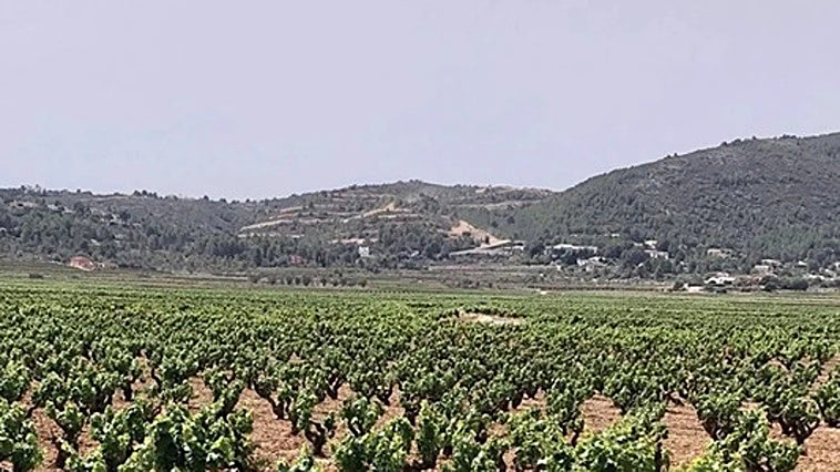 Salvem la Vall critica que el PAI de Llíber siga adelante sin recursos hídricos mientras se exige un racionar el agua a la ciudadanía