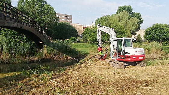 Modificar la vegetación del Turia para reducir el riesgo de inundación