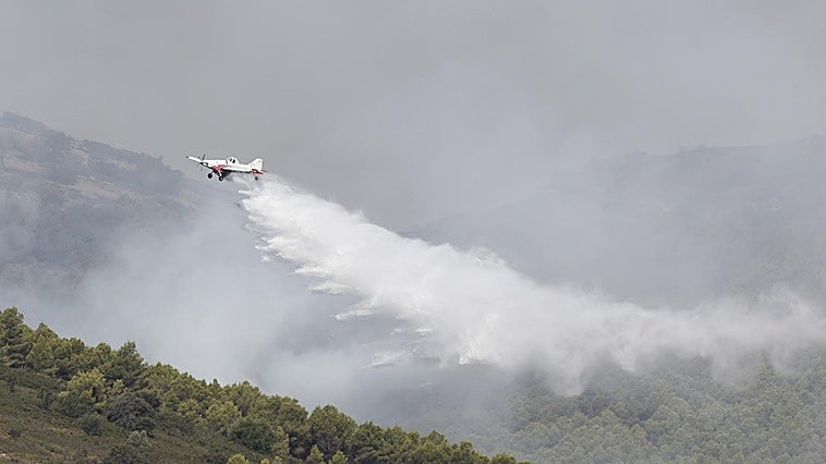 Controlado el incendio forestal de Tírig