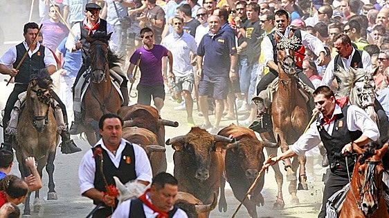 Esta es la programación de las Fiestas Patronales de Segorbe 2026: Desfiles, correfocs y semana taurina