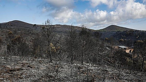 El Consell extiende a Tirig, Segorbe y Gátova las ayuda urgentes por los incendios