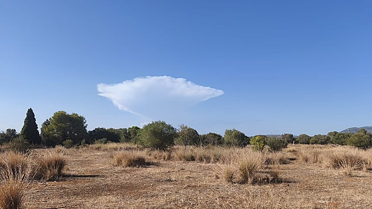 Un okupa dispara a dos cazadores en Torreblanca