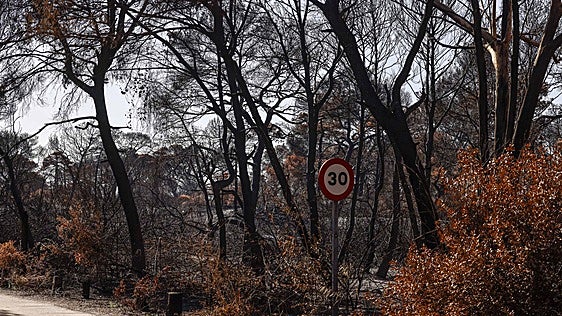 Extinguido el incendio de El Saler casi dos semanas después