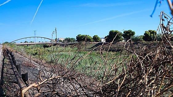 Alboraia vuelve a pedir a la CHJ que limpie de cañas el Carraixet tras un incendio en el cauce