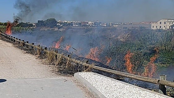 Los bomberos sofocan un incendio de cañas en el Carraixet