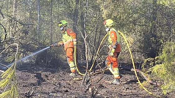Extinguen con rapidez un pequeño incendio forestal en Andilla