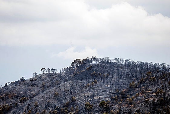 Fotos del incendio de Tuéjar