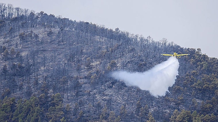 El incendio forestal de Tuéjar tiene «origen humano» y logran estabilizarlo tras calcinar 835 hectáreas
