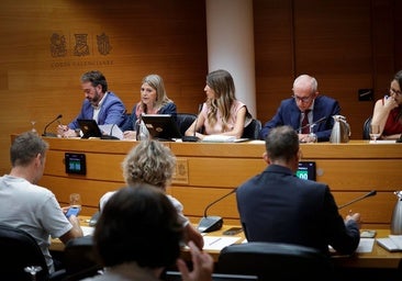 Carme Ortí, durante su intervención ante la comisión de Educación de Les Corts.