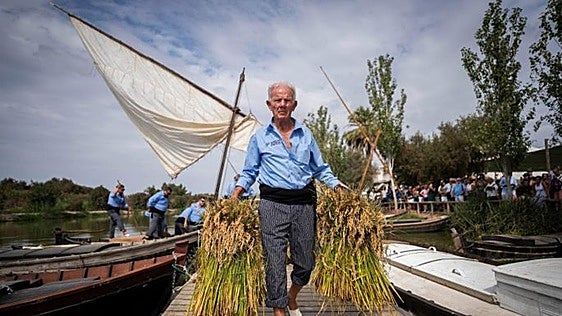Catarroja acoge este domingo la Fiesta de la Siega con paseos en barca, cata de arroces, talleres infantiles y el tradicional Cant de Batre