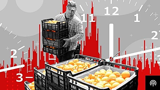 El nuevo alimento descubierto en la Comunitat