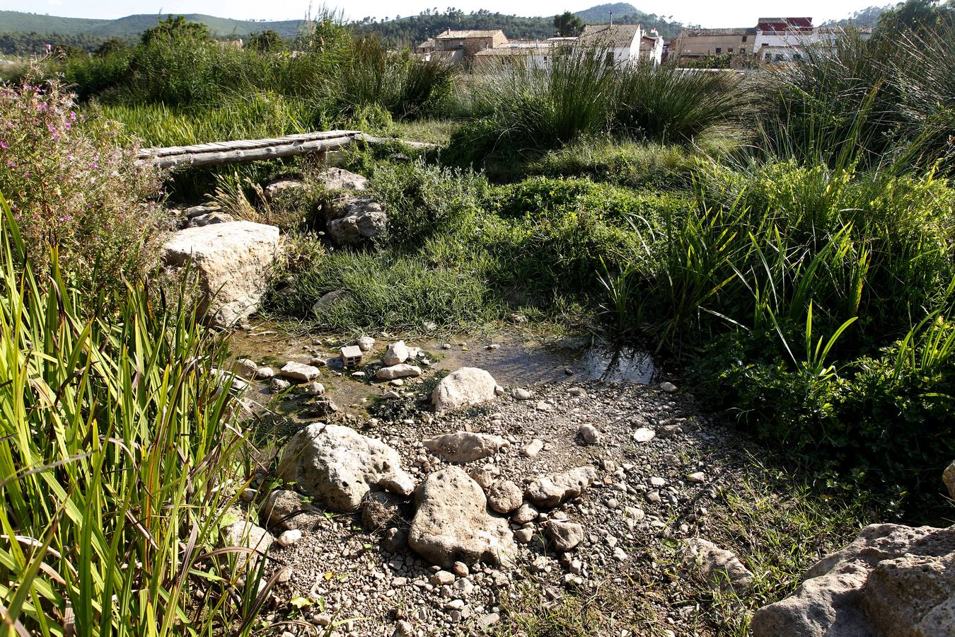 Río Magro. Estado actual del cauce.