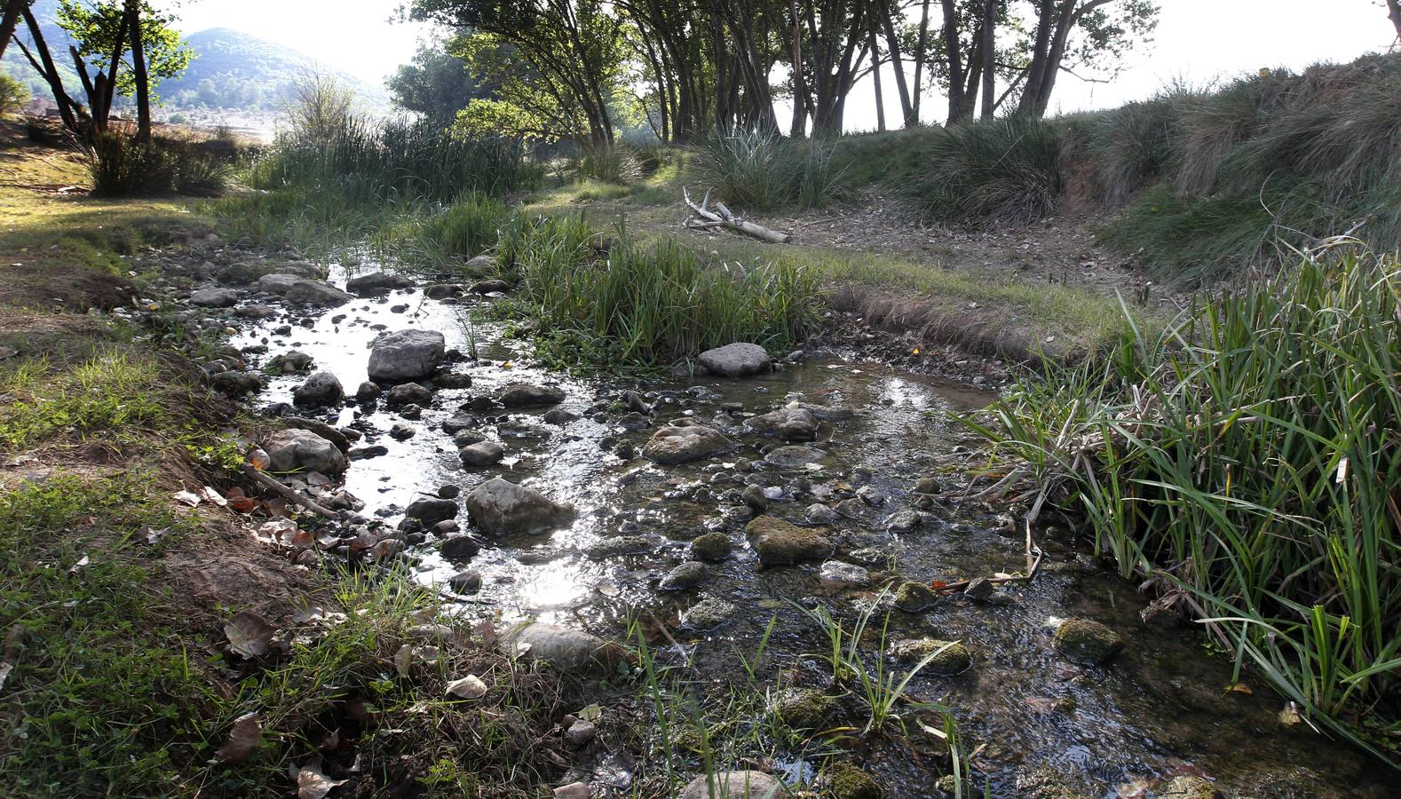 Río Magro. Estado actual del cauce.