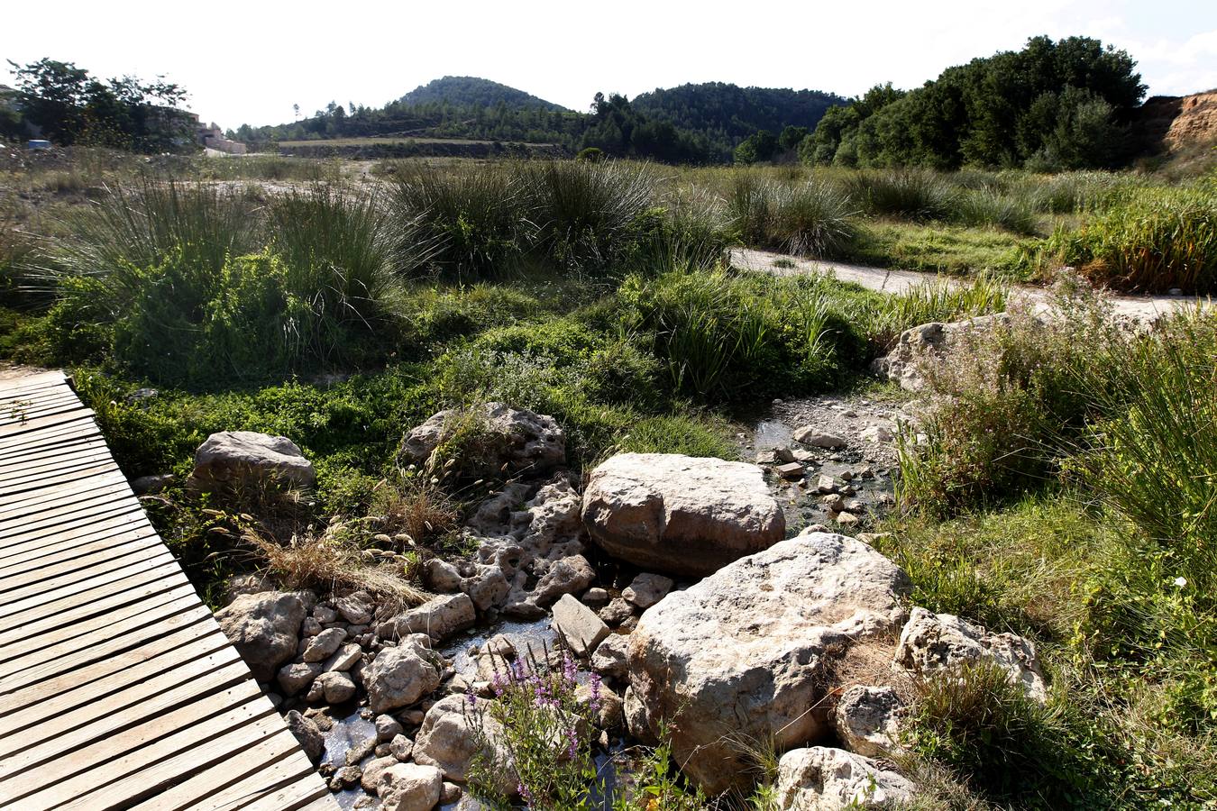 Río Magro. Estado actual del cauce.