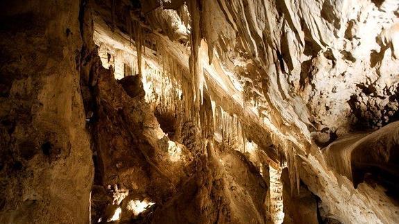 La cueva de los murciélagos. 