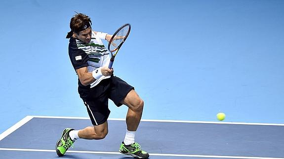 David Ferrer. 