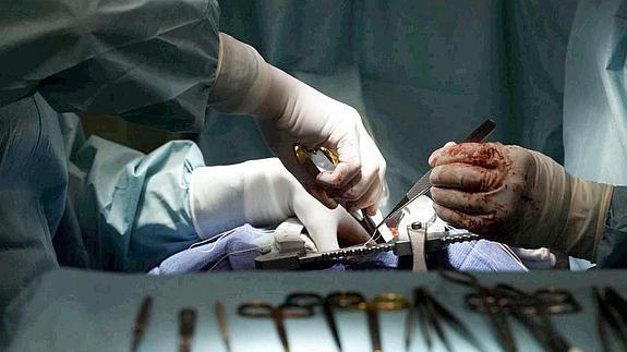 Estos pacientes tienen un mayor riesgo de sangrado en intervenciones quirúrgicas. 