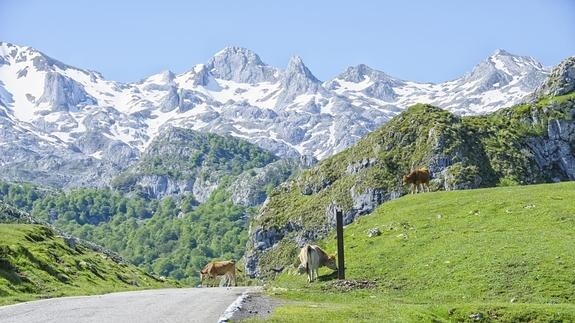 Panorámica de l Parque Natural de los Picos de Europa.