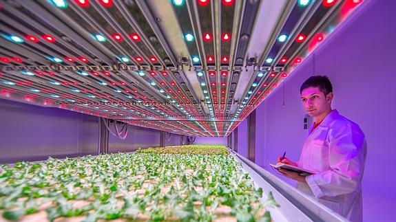 El centro GrowWise City Farming de Philips en Eindhoven (Holanda).