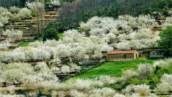 Paisaje del Valle del Jerte. / Autor: Simón Tejeiro. / Cedida por: Oficina de Turismo del Valle del Jerte