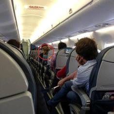 Dar pequeños paseos por el avión ayuda a combatir el síndrome.
