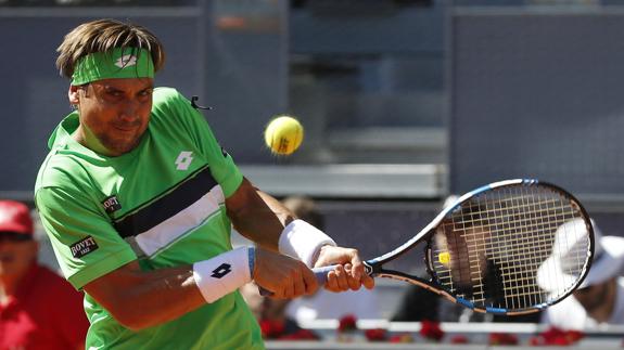 David Ferrer. 