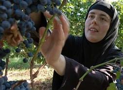 El vino alarga la vida