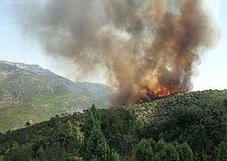Controlado el incendio de Lucena del Cid