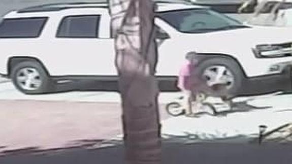 Un gato salva a un niño del ataque de un perro callejero