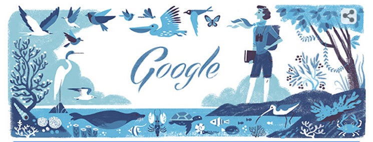 Rachel Carson, doodle de Google por su lucha por el medio ambiente