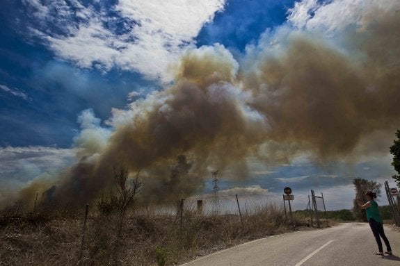 Incendio declarado en la zona de la Vallesa el pasado viernes. :: damián torres