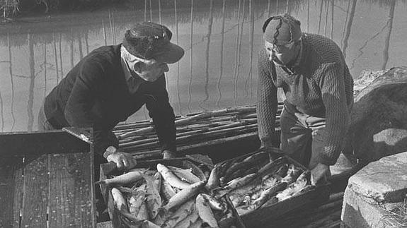 Pesca tradicional en la Albufera, en una imagen de 1990.