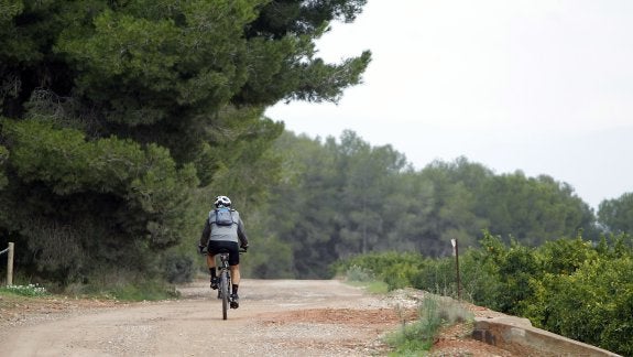 Un cicloturista transita por el camino que rodea la partida de Porchinos. 