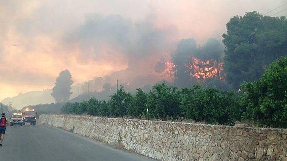 Un incendio obliga a desalojar dos urbanizaciones en Alzira