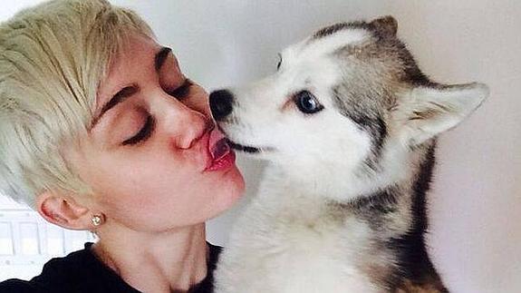 Miley Cyrus y su difunto perro Floyd.