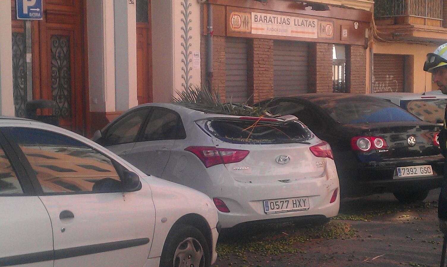 Una palmera cae sobre un coche en el barrio del Cabanyal.