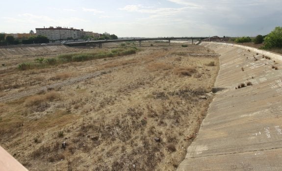El cauce del río Turia, lleno de vegetación seca. :: juan j. monzó