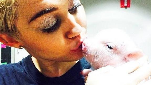 Miley Cyrus estrena a un cerdito como nueva mascota
