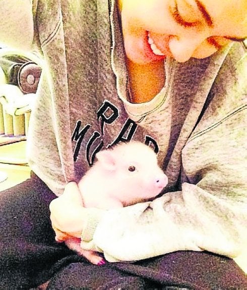 Bubba y Miley. :: instagram